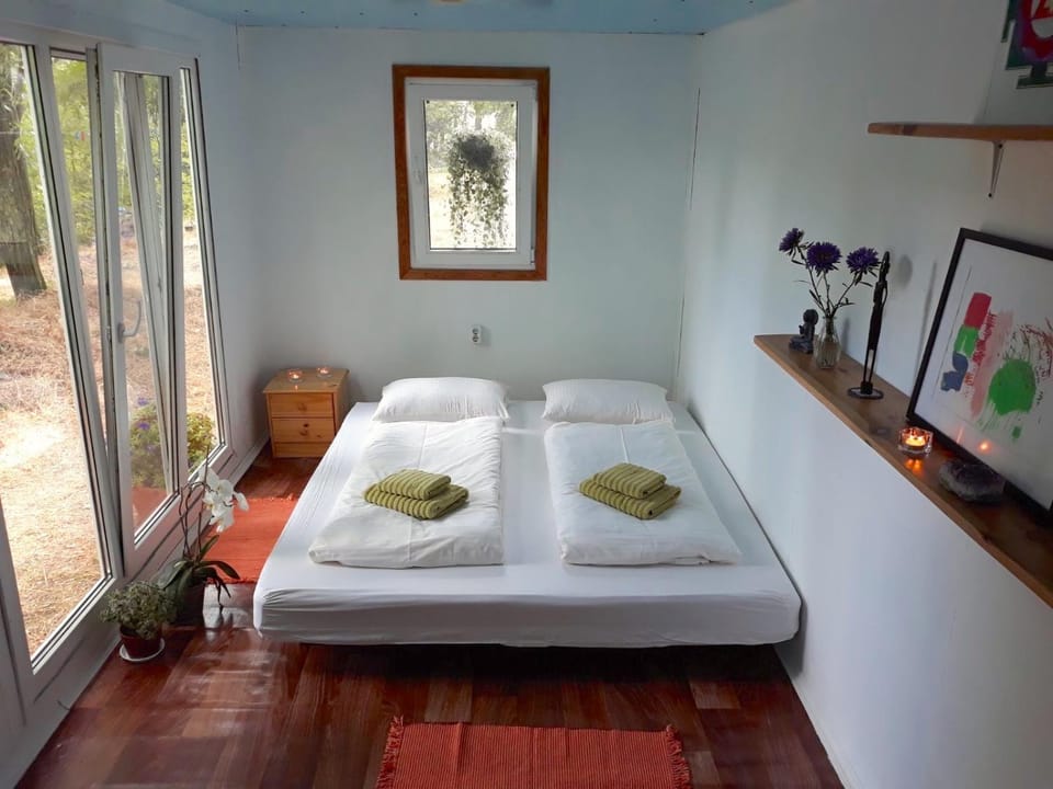 Living room, Photo of the whole room, Bedroom