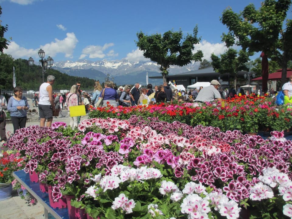 Neighbourhood, Natural landscape, Shopping Area