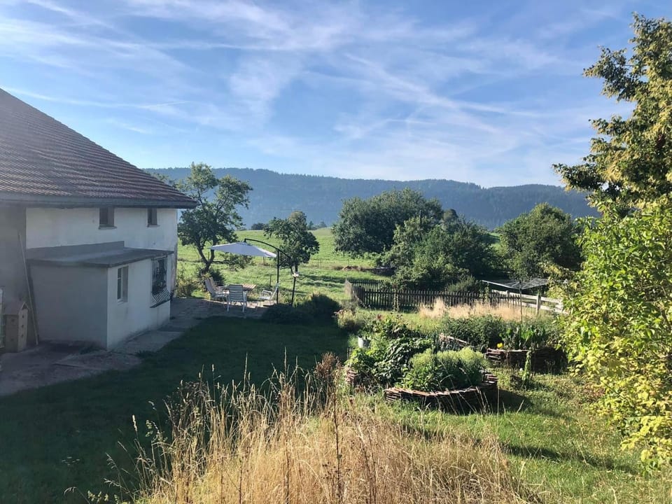 Property building, Day, Natural landscape, Activities, Summer, Garden, View (from property/room), acessibility