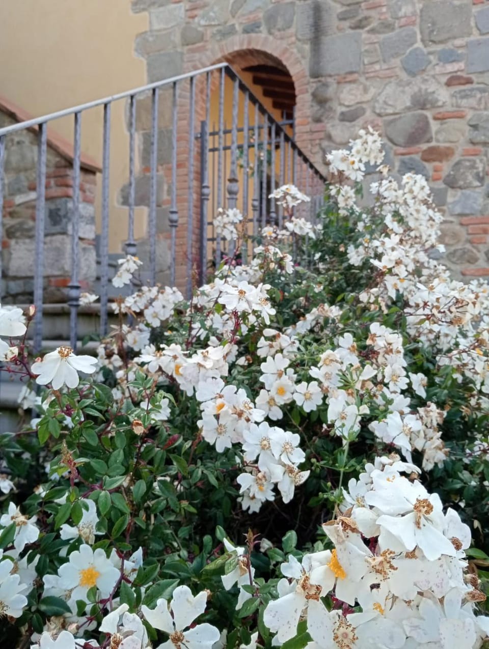 Spring, Summer, Seasons