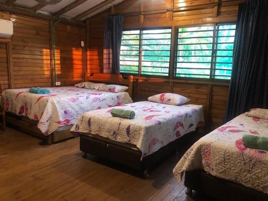 Bed, Photo of the whole room, Bedroom, air conditioner