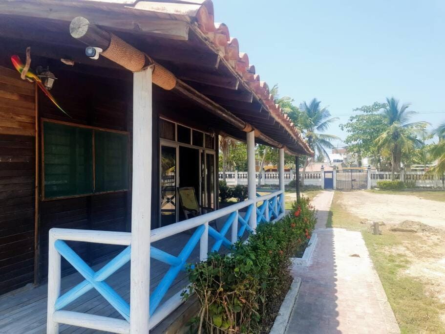 Property building, Day, Garden