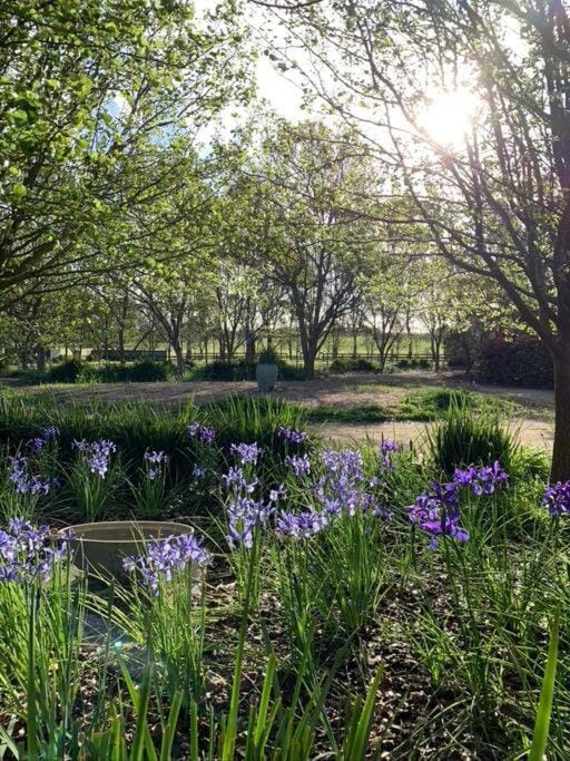 Spring, Garden view