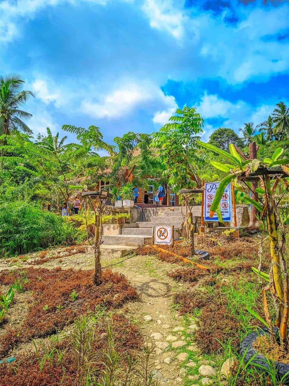 GKG FARM CEBU PH Farm Stay in Central Visayas