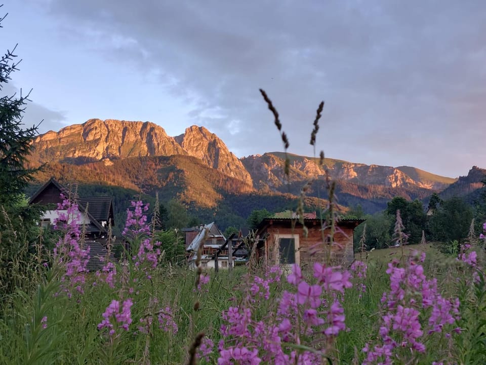Domki Pod Góralskim Niebem House in Zakopane