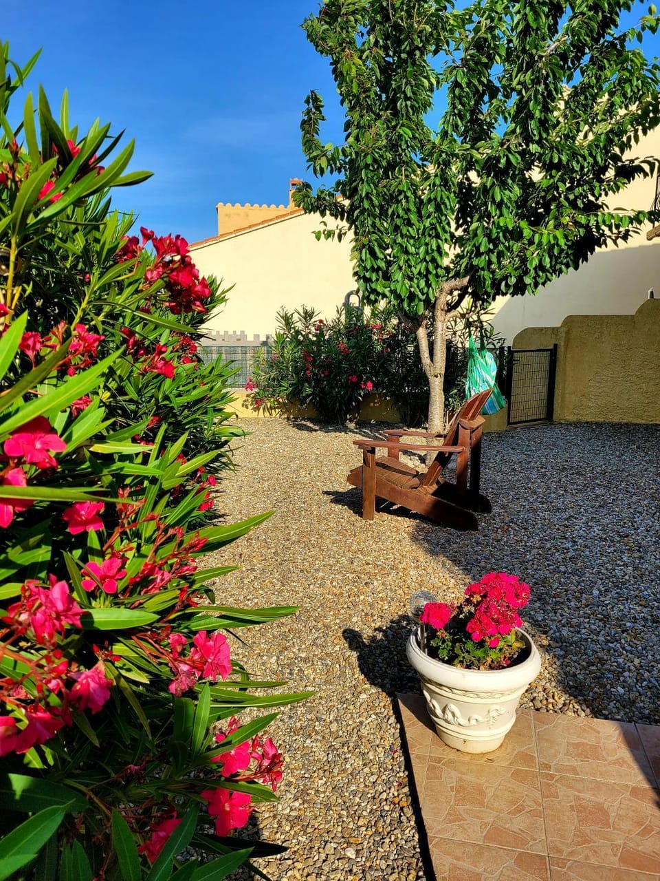 Garden view