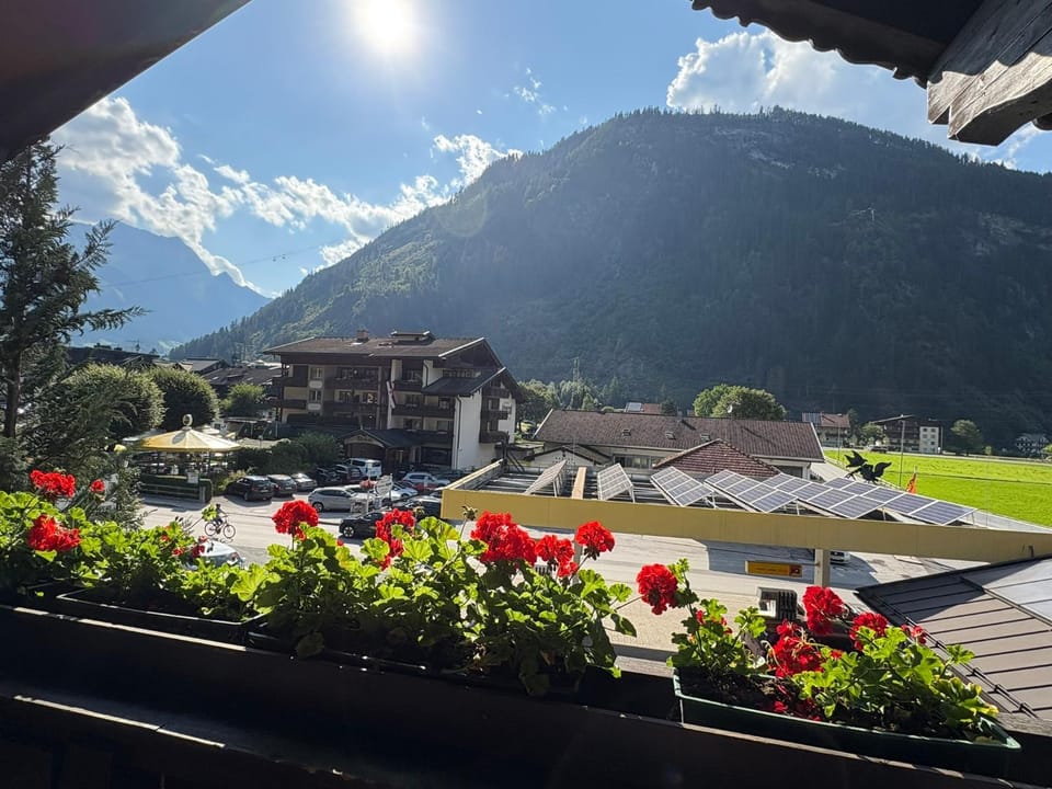 View (from property/room), View (from property/room)