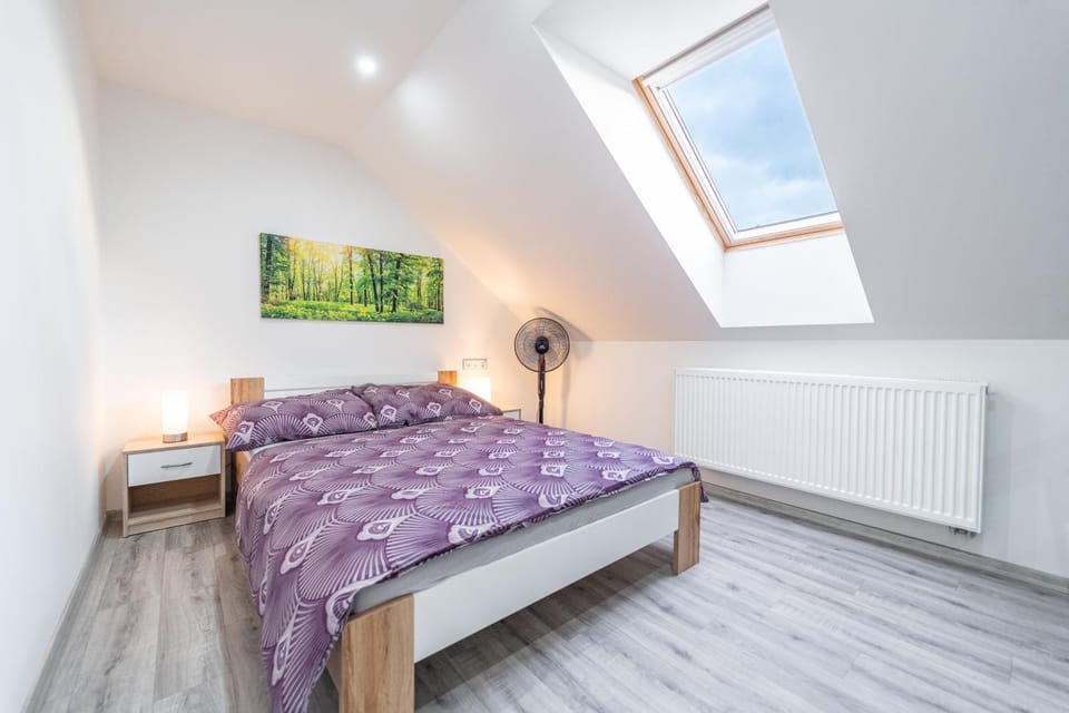 Bed, Photo of the whole room, Bedroom, internet