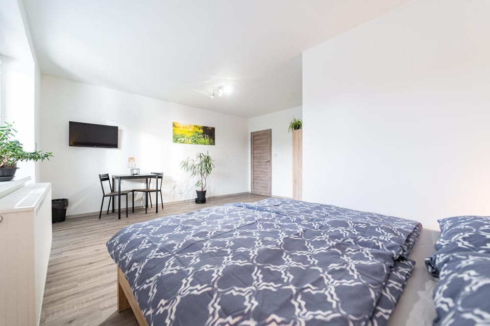 Bed, TV and multimedia, Photo of the whole room, Bedroom
