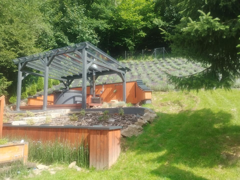 Spring, Day, Garden, Garden view