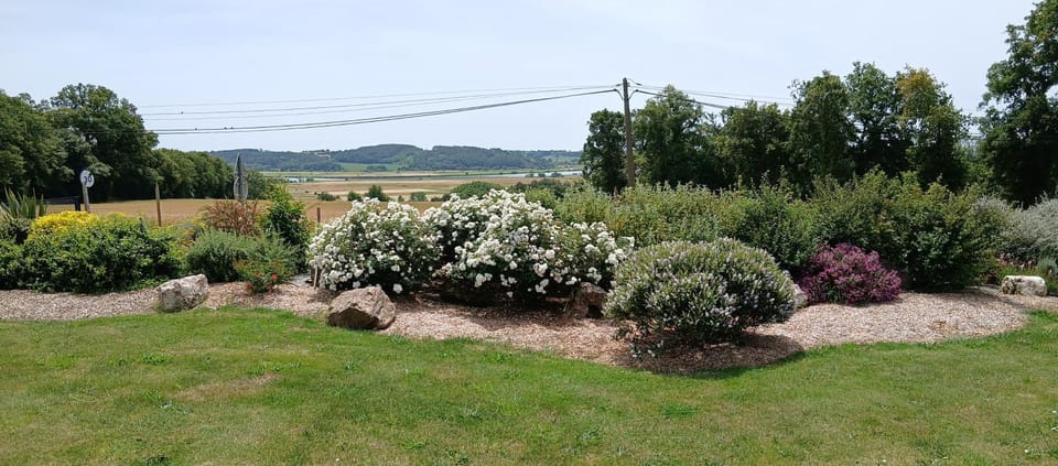 Garden view, River view