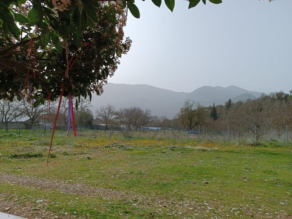 Erymanthos country home Chalet in Peloponnese Region
