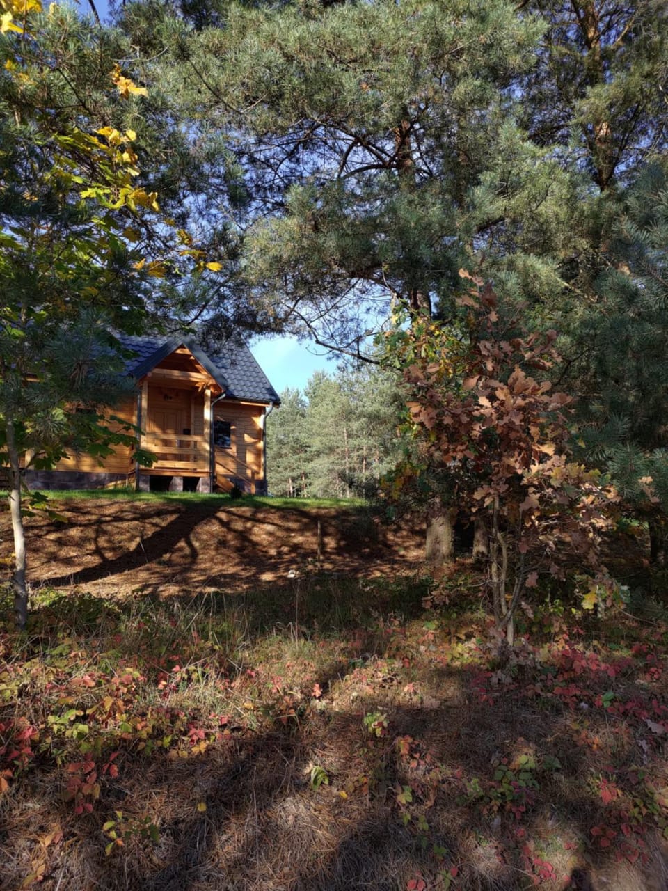 Property building, Natural landscape, Garden view