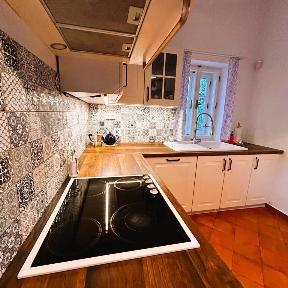 Kitchen or kitchenette, dishwasher, pet friendly, stove