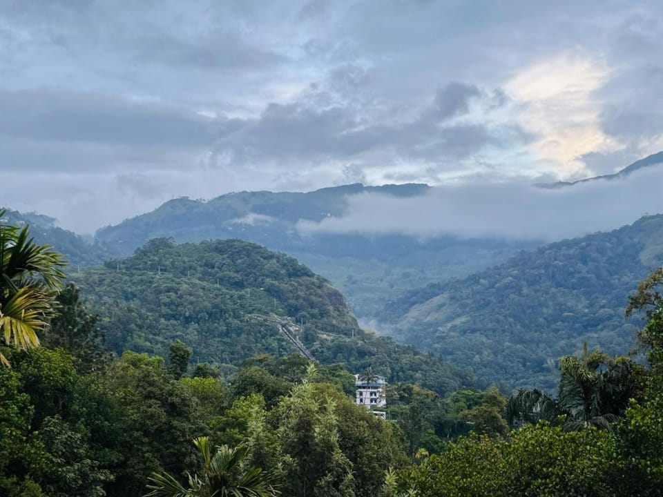 Mountain view