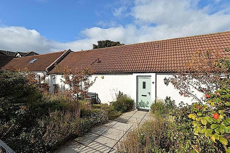 Property building, Garden, Garden view