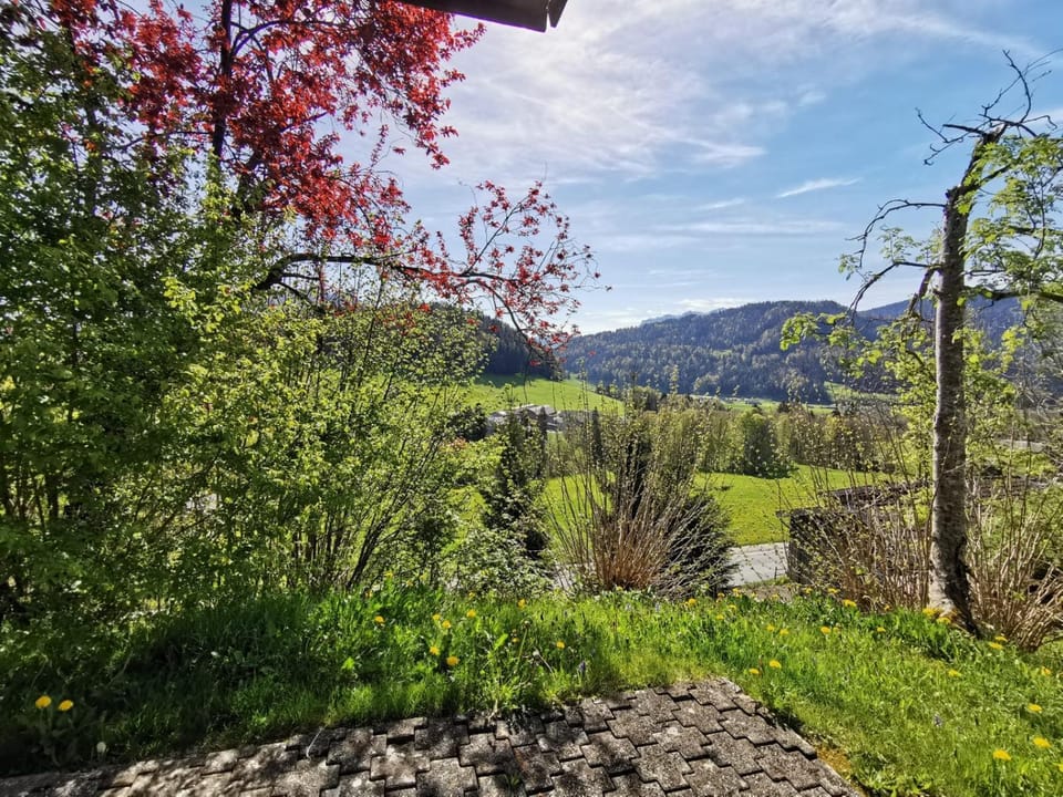 Spring, Day, Garden, Mountain view