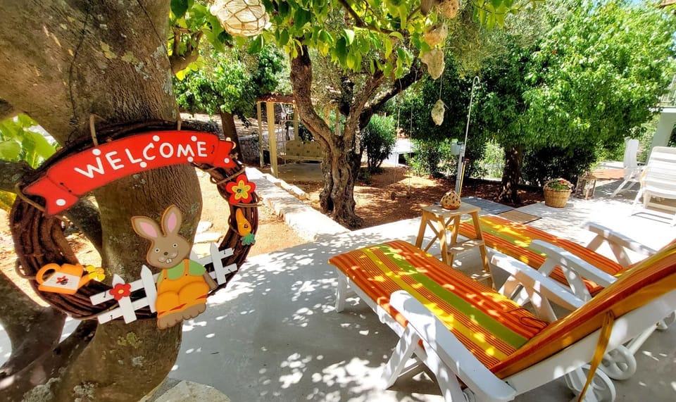 Shower, Garden, Garden view, sunbed