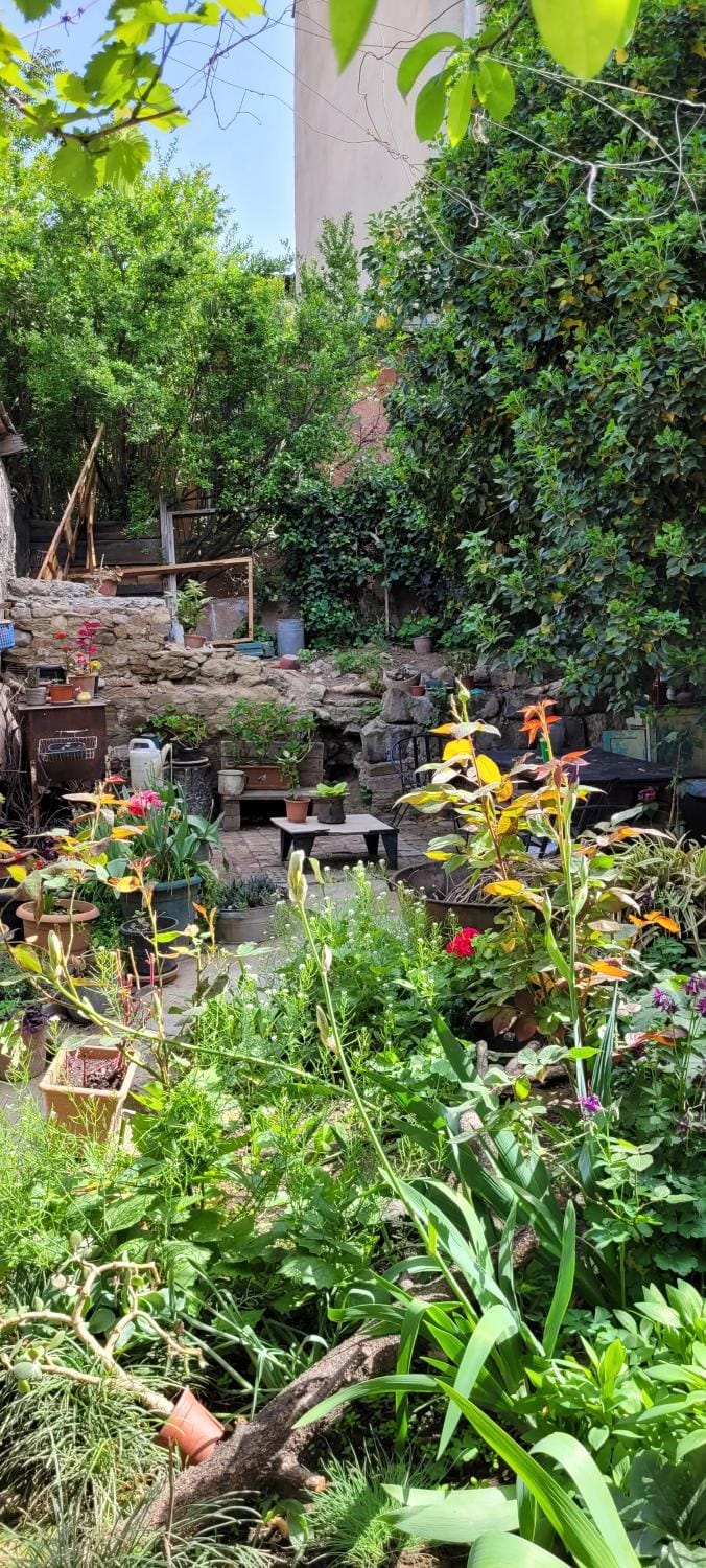 Patio, Garden, Garden view