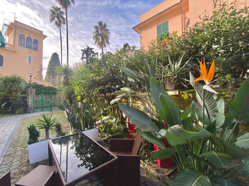 Garden, Garden, Garden view