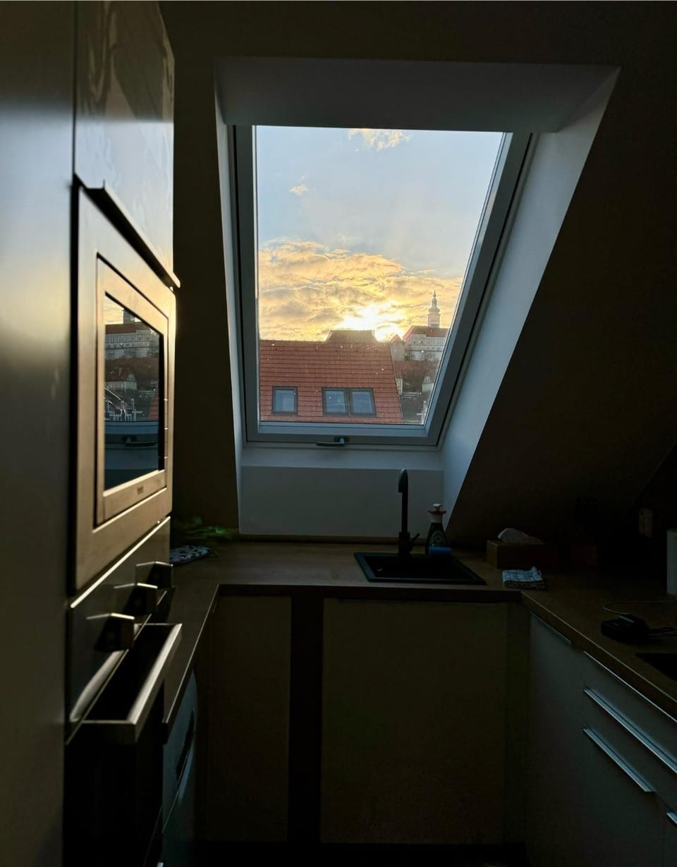 Natural landscape, View (from property/room), View (from property/room), Kitchen or kitchenette, City view, City view, Garden view, minibar, pet friendly, stove