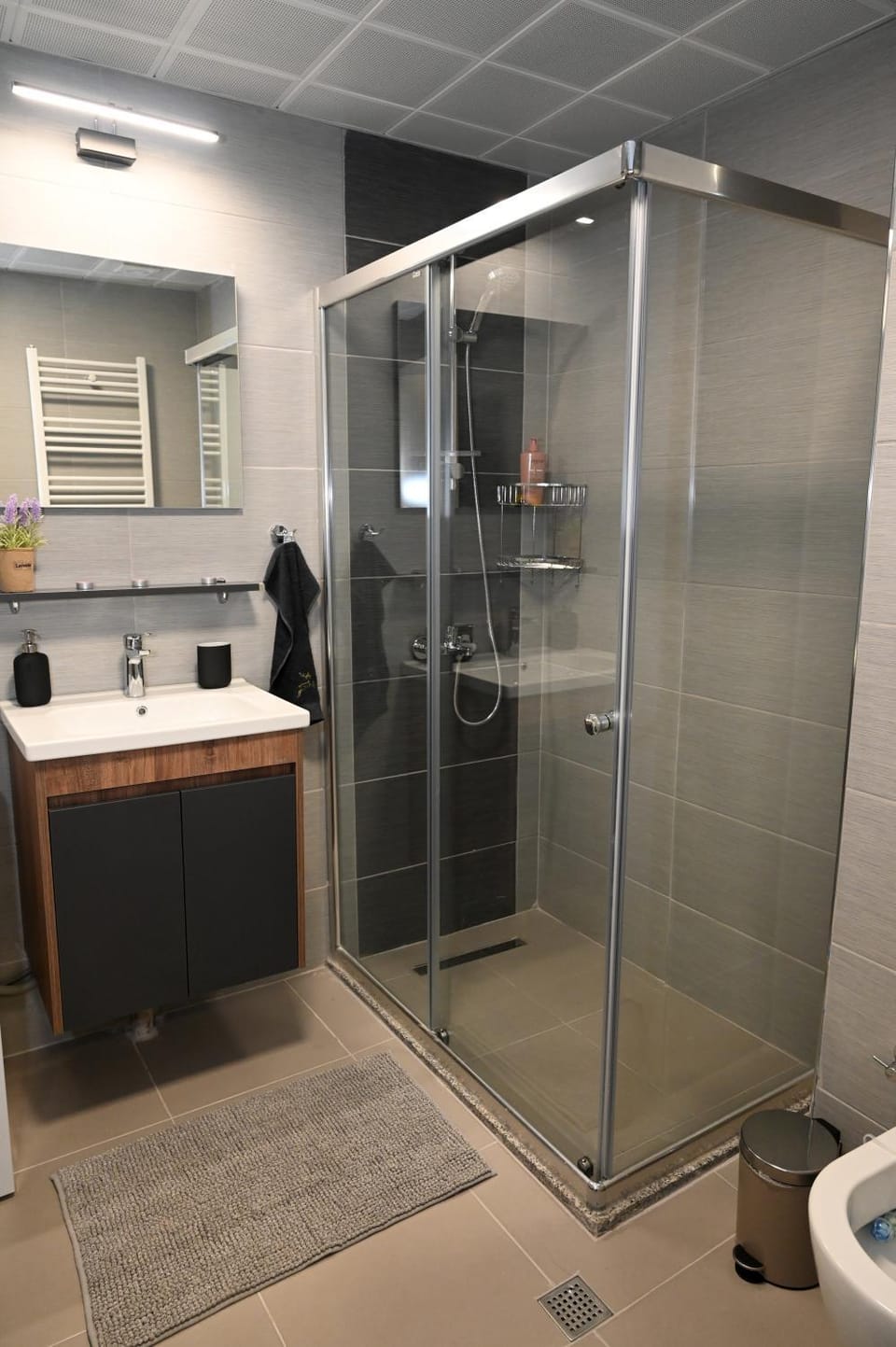 Shower, Toilet, Bathroom