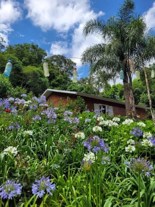 Day, Natural landscape, Garden view