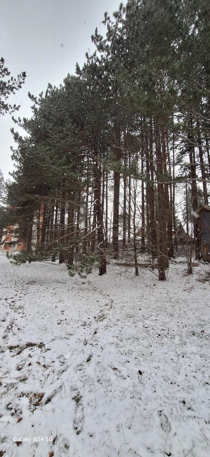 Day, Natural landscape, Winter