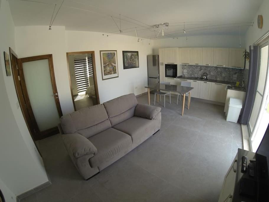 TV and multimedia, Kitchen or kitchenette, Living room, Seating area, Dining area, minibar, pet friendly