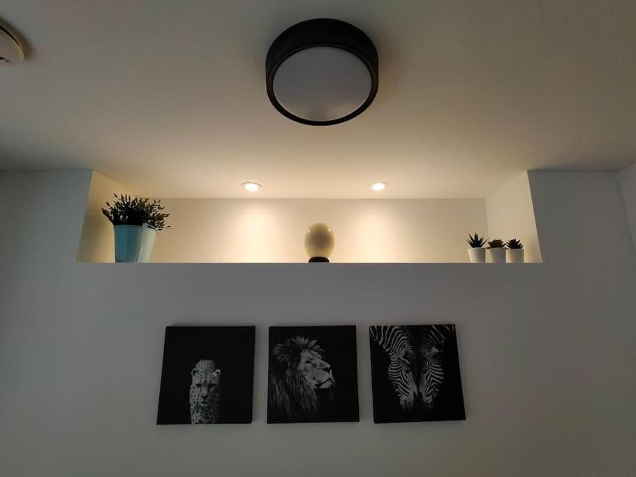 Private self contained self catering flat Apartment in Bristol