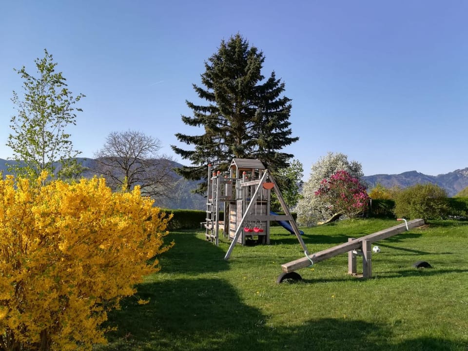 Spring, Natural landscape, Children play ground, Children play ground, Garden, Garden view