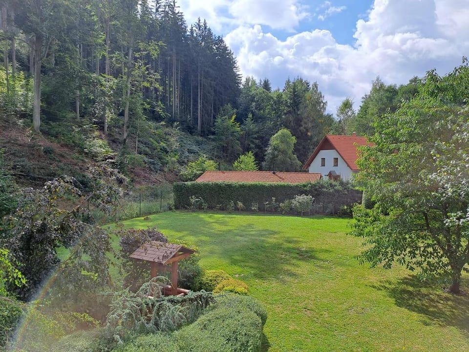 Natural landscape, Garden, Garden view