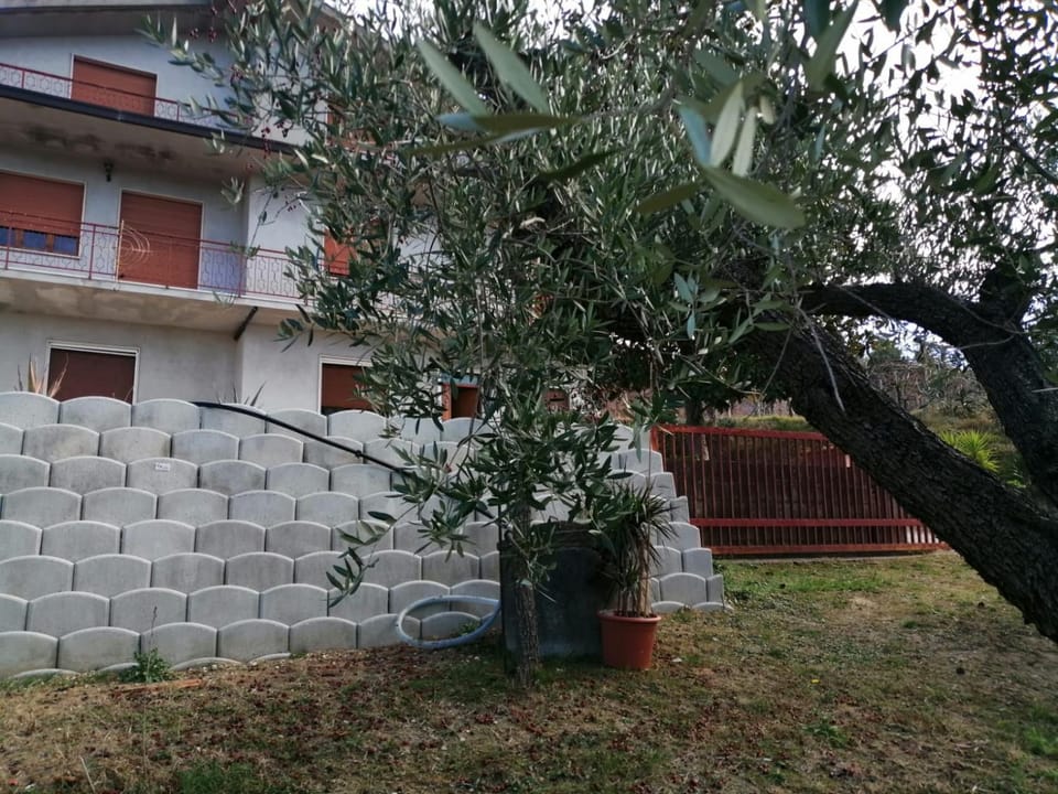 Property building, Spring, Day, Garden, Garden view