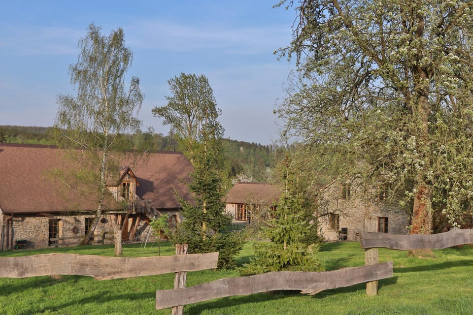 Property building, Spring, Garden, Garden view