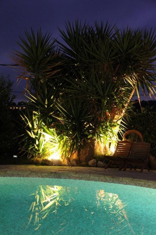 Night, Pool view, Swimming pool