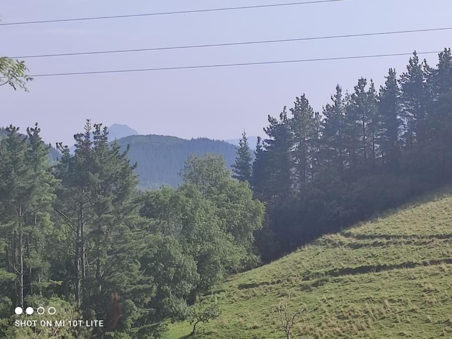 Natural landscape