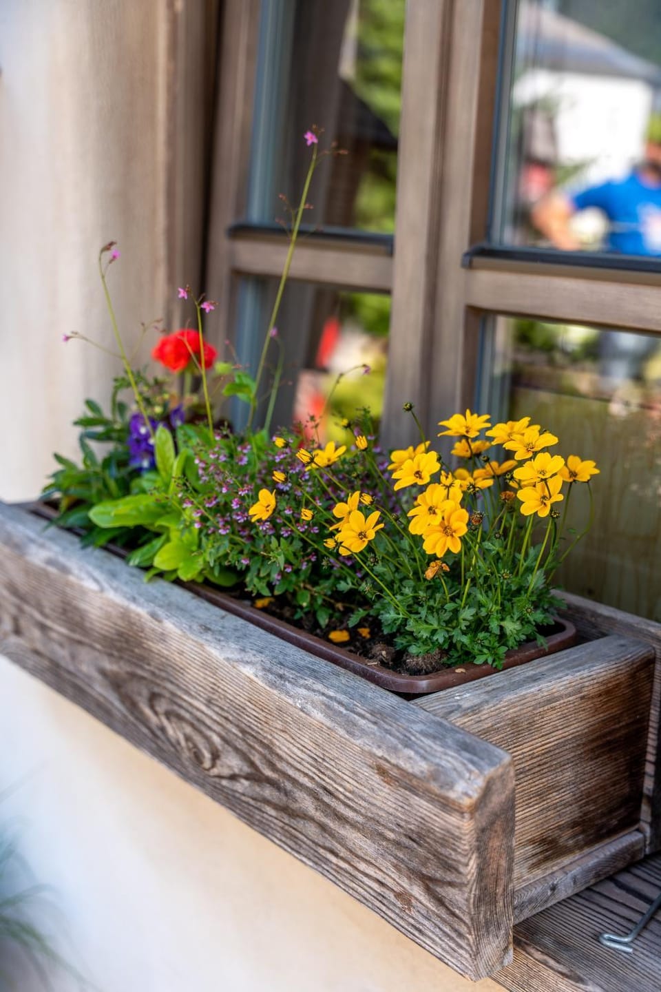 Spring, Garden, Garden view
