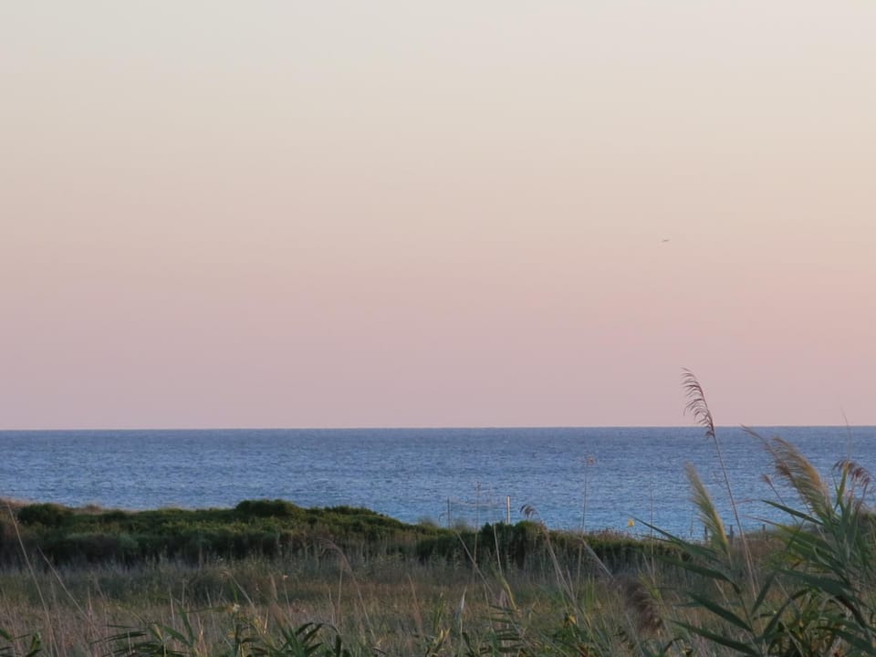 Natural landscape