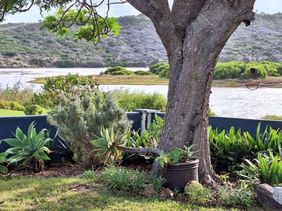 River view