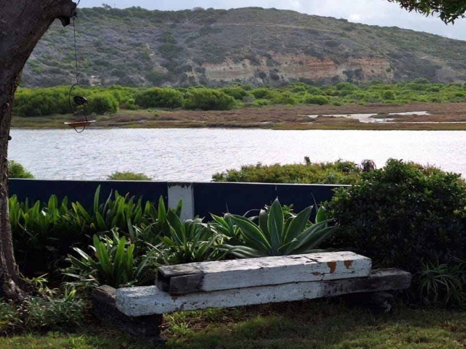 River view