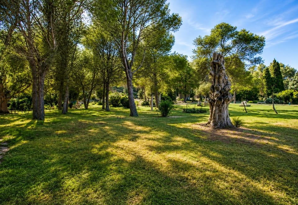 AGUAIT - Villa approximately aprox 4O OOO meters PLUS PRIVATE mountain approx 3 minutes walking from the beach Ideal for relaxation sport Villa in Serra de Tramuntana