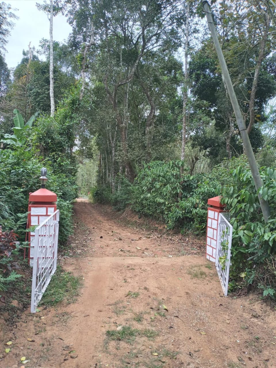 Coorg klusters estate stay Vacation rental in Karnataka