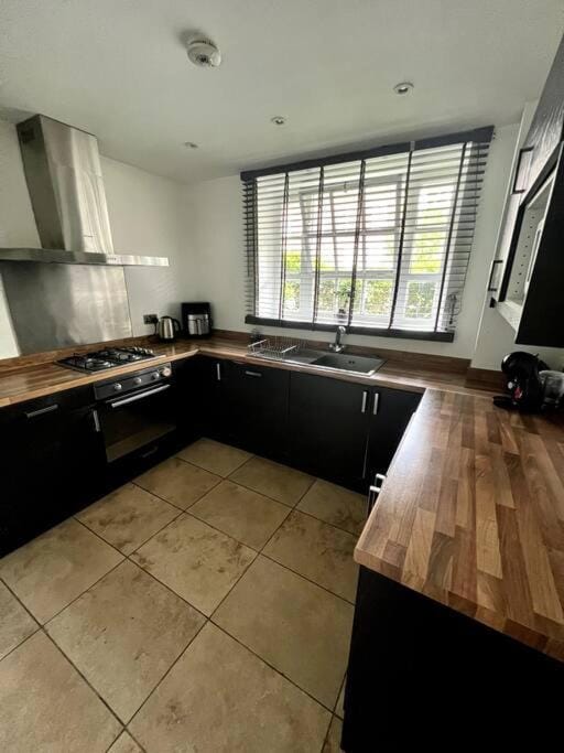 Kitchen or kitchenette, dishwasher, stove
