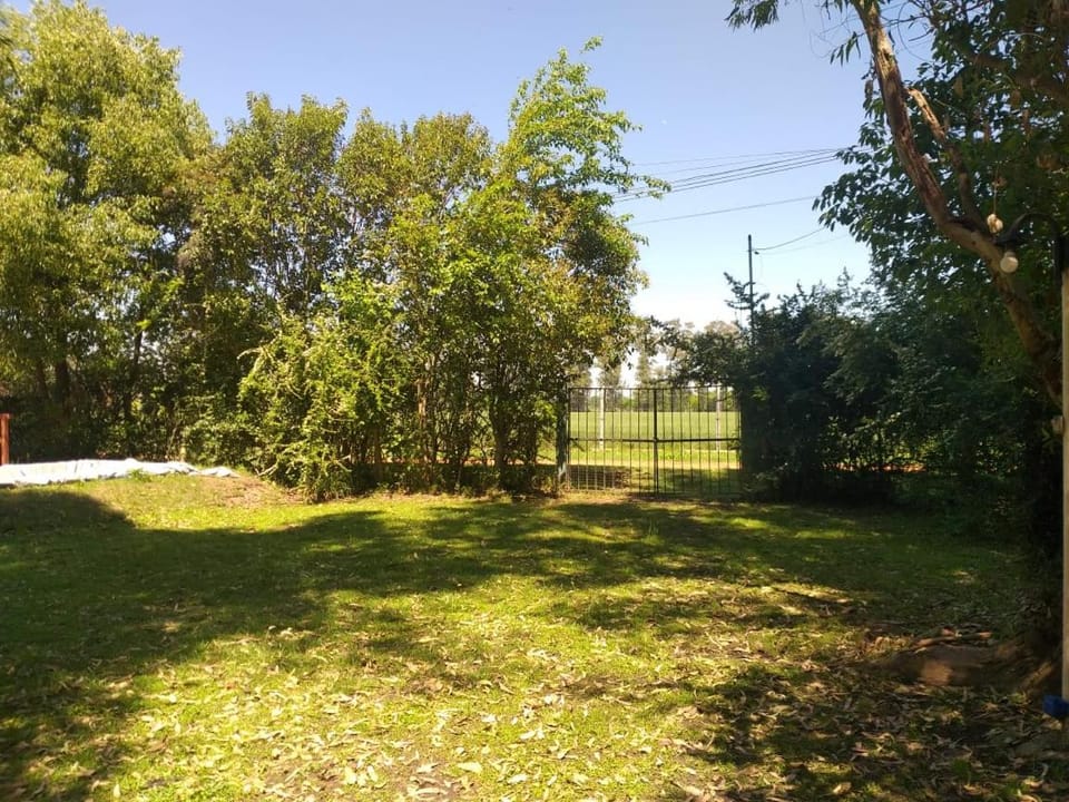 Spring, Day, Natural landscape, Garden, Garden view