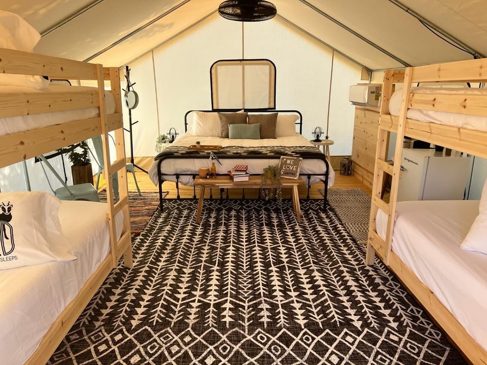 Bed, Photo of the whole room, Bedroom, bunk bed