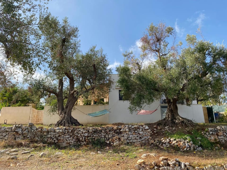 Property building, Garden, Garden view