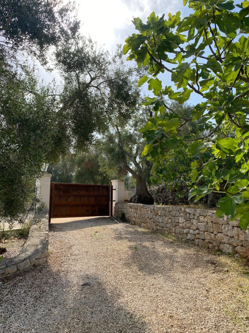 Garden, Garden view
