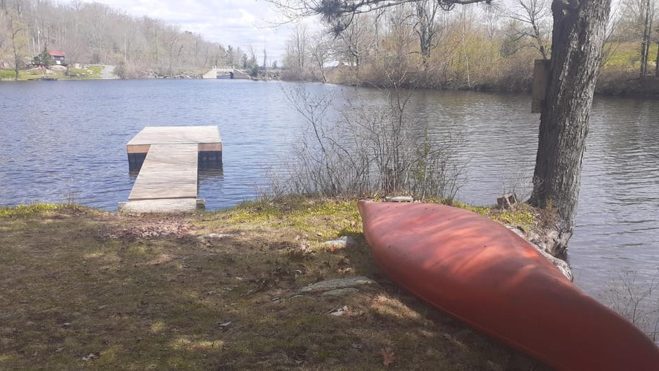 Lake view