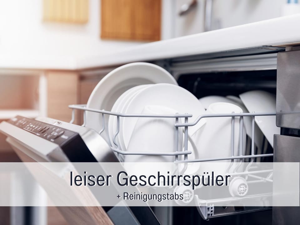Kitchen or kitchenette, dishwasher