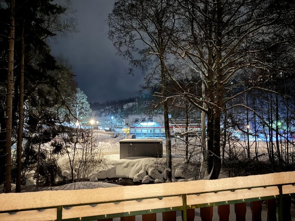 Night, Winter